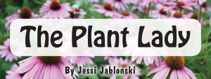 The Plant Lady - Jessi Jablonski