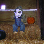 Fillmore County Journal - Where Fillmore County News Comes First - Bluff Country News