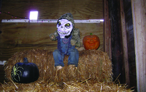 Fillmore County Journal - Where Fillmore County News Comes First - Bluff Country News