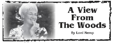 Fillmore County Journal - A View From The Woods - Loni Kemp