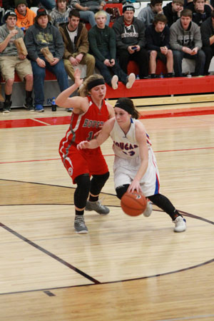 Fillmore County Sports