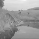 Fillmore County Journal - Fillmore Soil & Water Conservation District - Conservation Chronicles