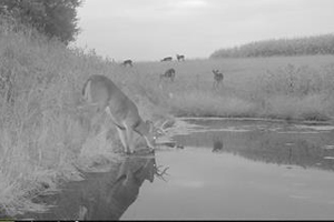 Fillmore County Journal - Fillmore Soil & Water Conservation District - Conservation Chronicles