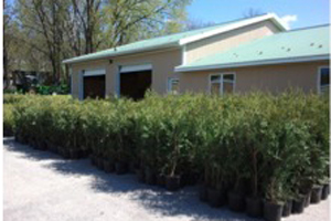 Fillmore County Journal - Fillmore Soil & Water Conservation District - Conservation Chronicles