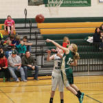 Fillmore County Journal - Fillmore County Sports - Skalet blocks Donlinger