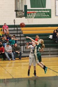 Fillmore County Journal - Fillmore County Sports - Skalet blocks Donlinger