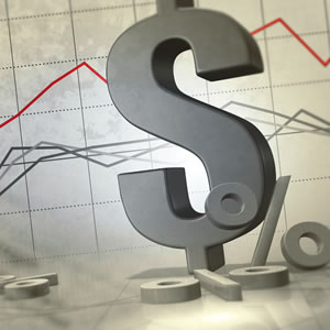 Fillmore County Journal - Business Information