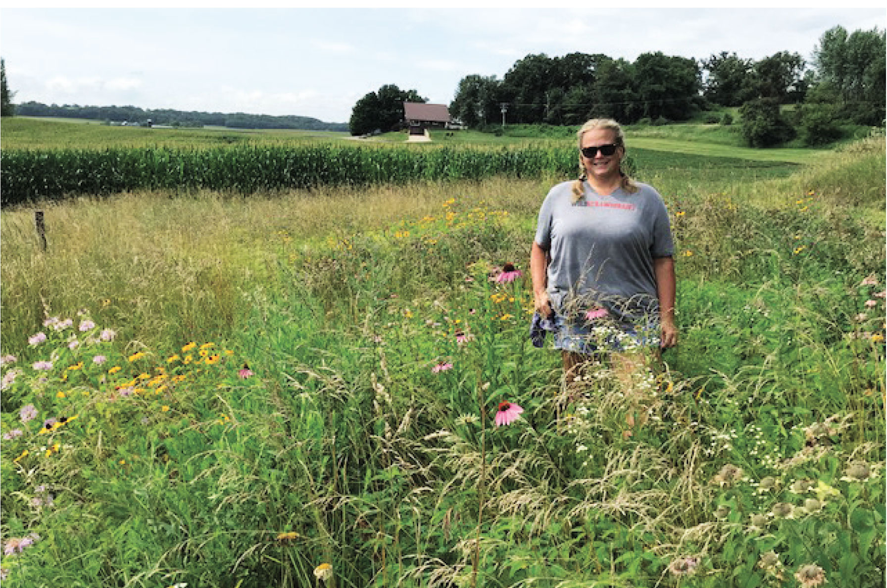 Fillmore County Journal- Wold Strawberries