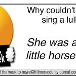 Fillmore County Journal- Joke of the Week