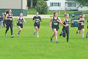 Fillmore County Journal - Cross Country Sports