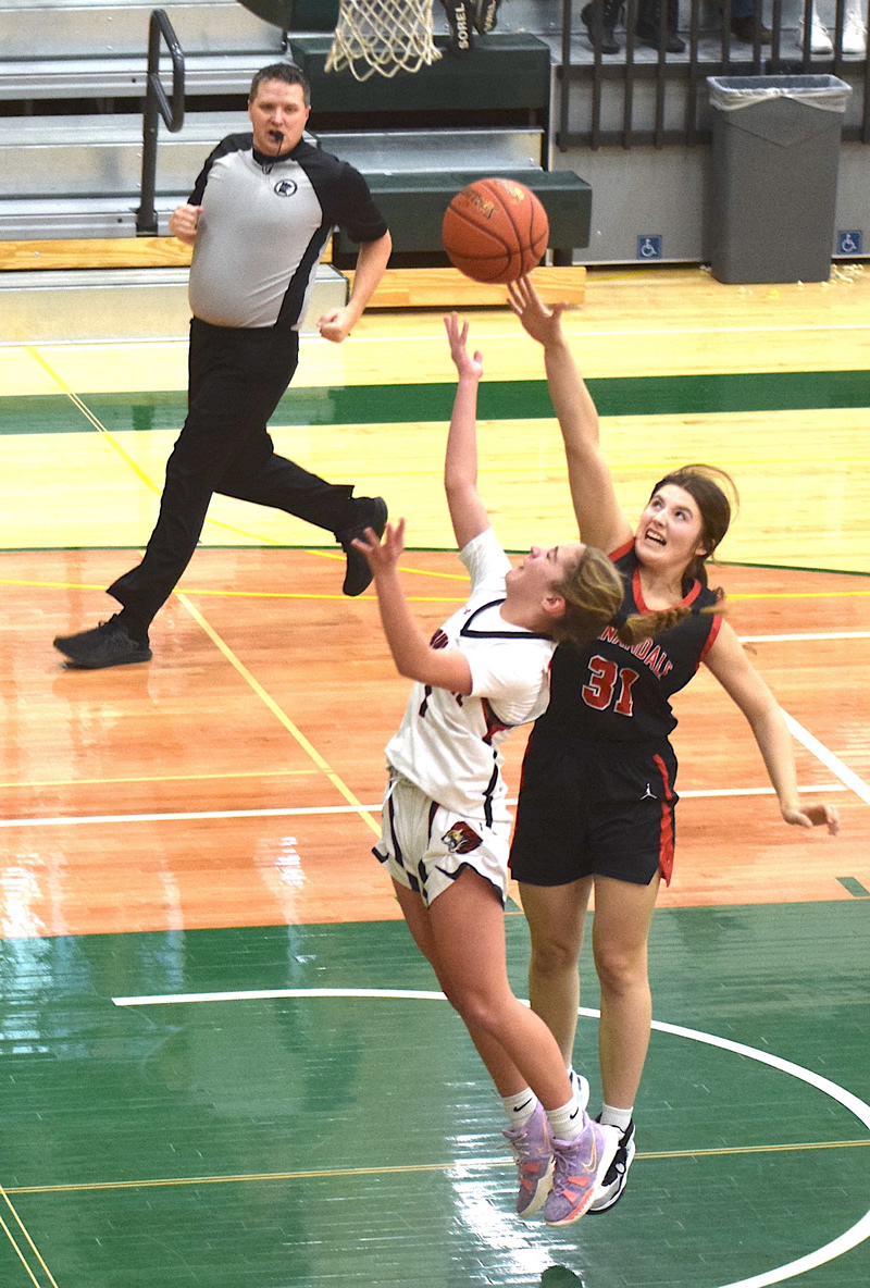 Spring Grove girls fall to Annandale in holiday runaway