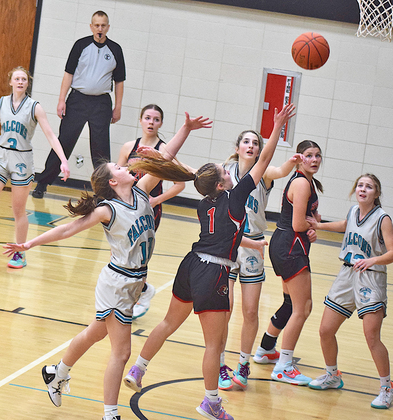 Spring Grove Lions Girls Basketball