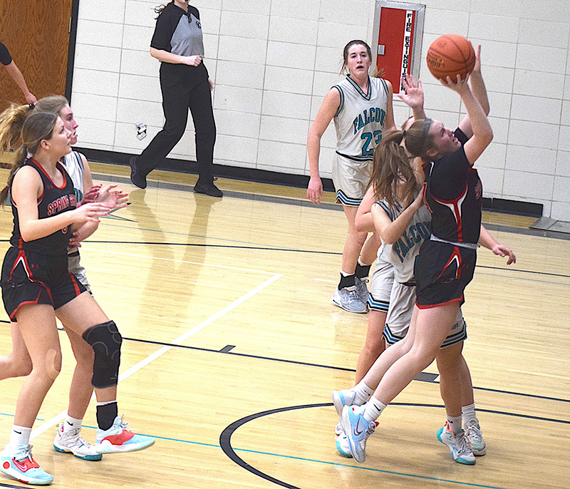 Spring Grove Lions Girls Basketball