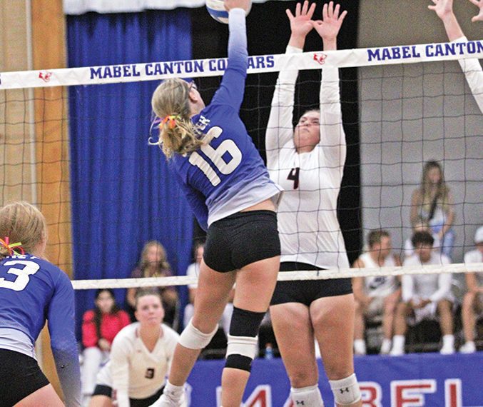 Volleyball: #2 Cougars Push Past New Look Lions