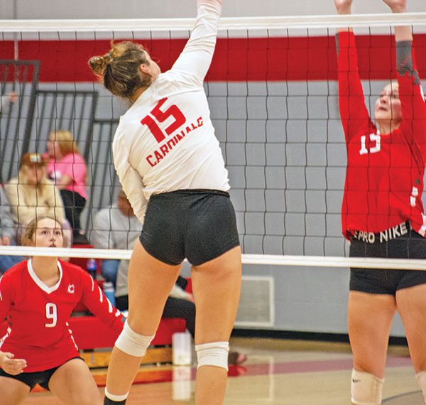 Volleyball