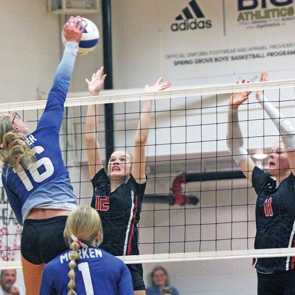 Volleyball: Lions Push #2 Cougars and Their Streak