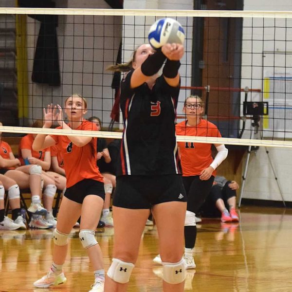 Lion Girls Dominate Burros, Struggle Past Cardinals