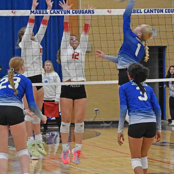 Volleyball: #2 Cougars Finish Out Perfect SEC Loop, Dominate Showcase
