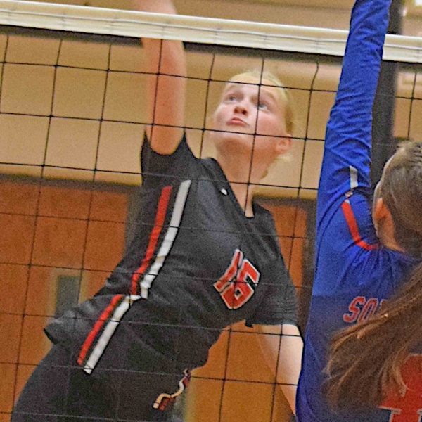 Halverson is Lion MVP, among four All-SEC selections