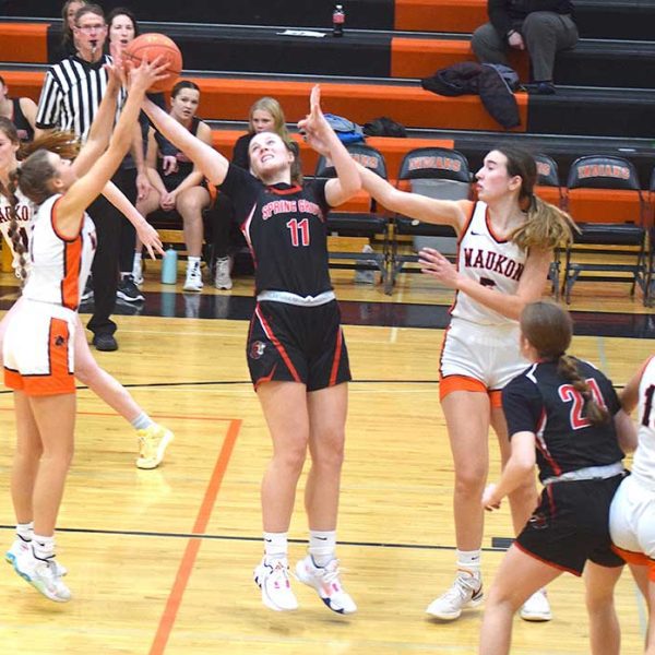 Spring Grove Girls Drop Close Contest at Waukon,66-63