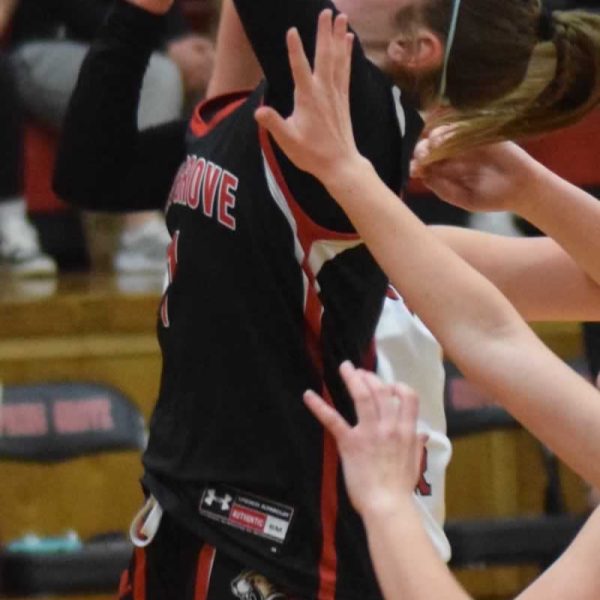 Record-Breaking Ball-Handling Lifts Lion Girls Past Schaeffer