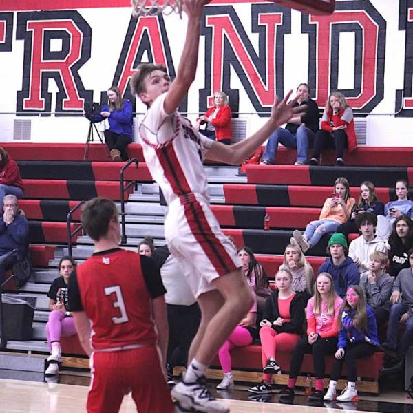 Lion boys emerge from low-scoring start, crush Cardinals