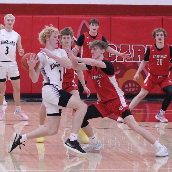 Leroy-Ostrander boys basketball vs. Cardinals