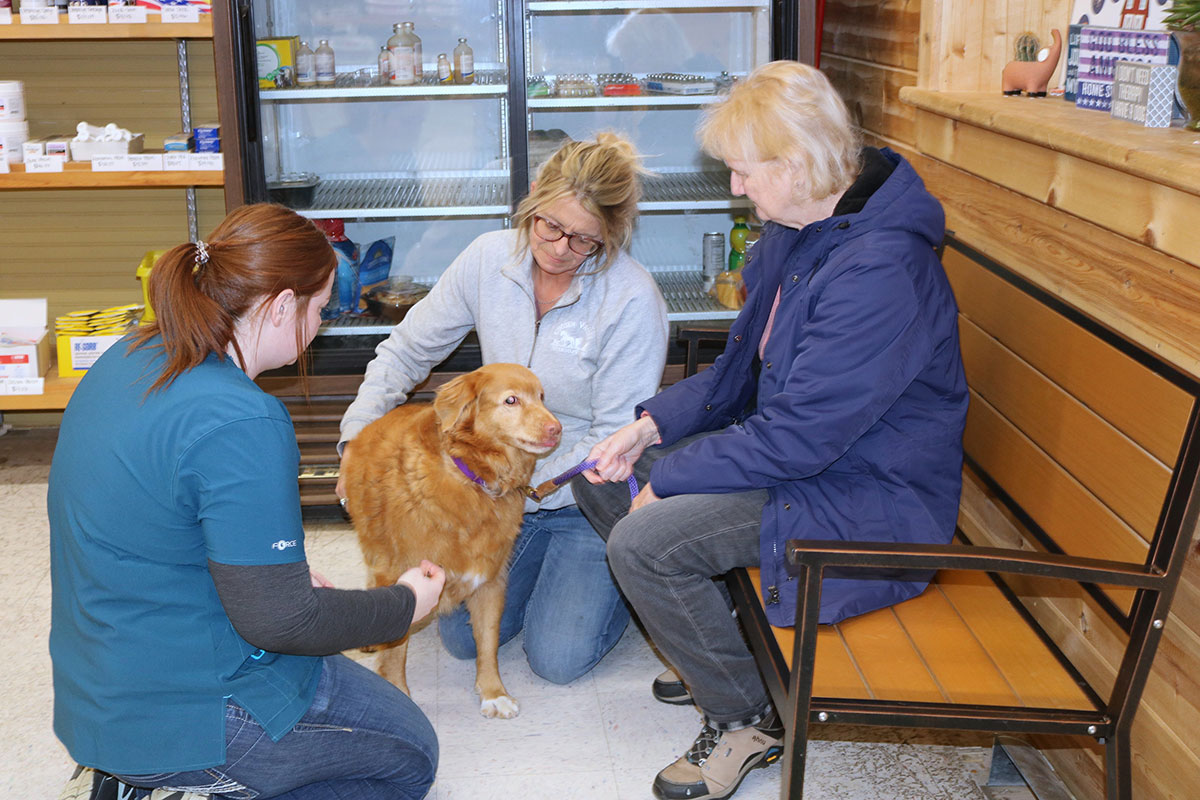 Chosen Valley Vet with dog