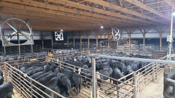 Lanesboro Sales Commission interior