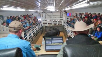 Lanesboro Sales Commission