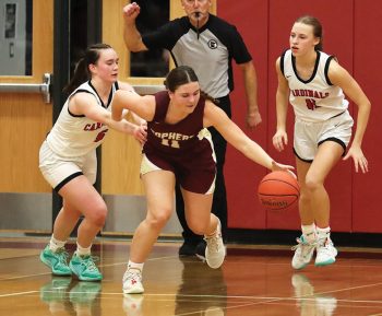 Goldsmith vs Lewiston-Altura