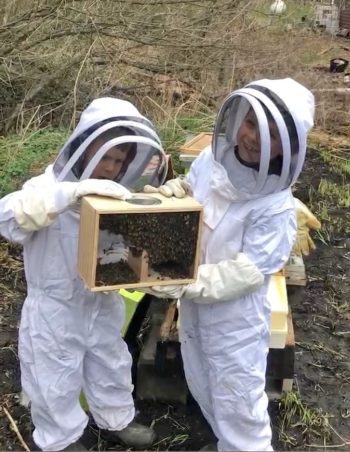 Reid and Brooks hold bees