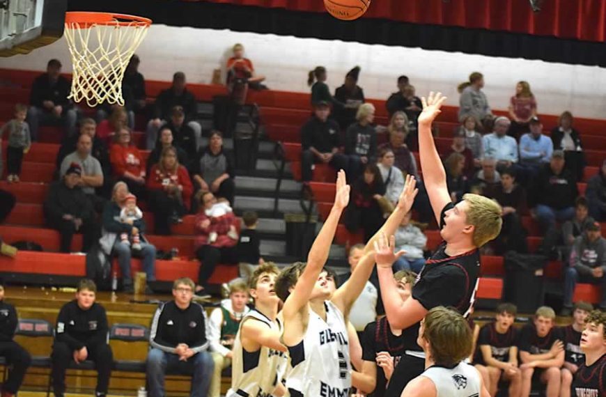 Lion Boys Overwhelm Wolverines again