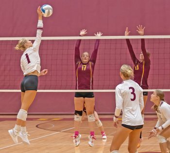 Chatfield's Trindy Barkeim shoots through Dover-Eyota