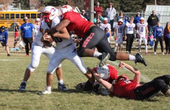 While teammates Ryder Stern (holding ankle) and Dylan Christianson (#9) have already done work to curtail Southland quarterback Henry Wiste, LeRoy-Ostrander/Lyle/Pacelli’s Spencer Goodale swoops in for the cleanup sack. L-O/L/P got to Wiste often and Camden Hungerholt accounted for eight total TDs in a 61-28 shellacking that moved the Cardinals to their second straight Section 1 9-Man final. Photo by Paul Trende