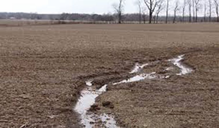 Erosion gully field. Photo submitted