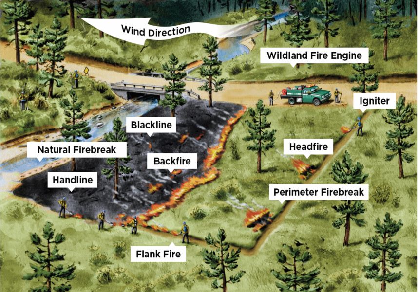 An overview of the prescribed burn process.