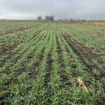 Fillmore and Houston County landowners may enroll in a varitey of options for Climate Smart Agricultural Practices. Photo submitted