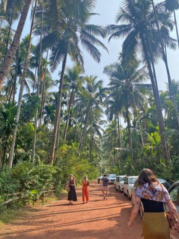 Members of the group walking to lunch in Goa. Photo submitted