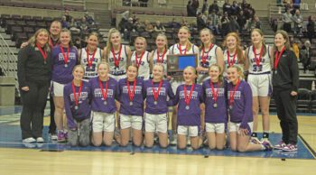 Grand Meadow girls basketball is the Section 1A runner-up for the third time in four years. The Larks ended a fantastic 25-3 season by falling 46-27 to top-seed, defending state champion, and #1 in Class A Goodhue. Photo by Paul Trende
