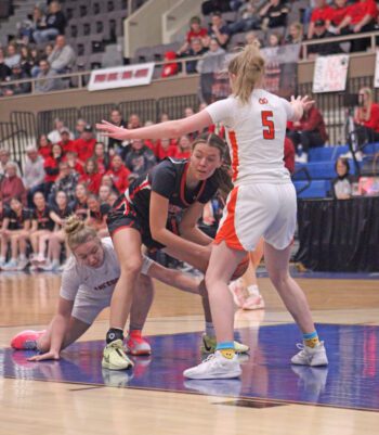Lanesboro’s Jensyn Storhoff goes for the unorthodox, between the legs steal on Spring Grove/Mabel-Canton’s Kylie Hammel in the team’s 1A quarterfinal. The Burros led 42-33 early in the second half only for the Lions to go on a 28-4 run (double-teaming Storhoff), as they prevailed 65-57. Photo by Paul Trende