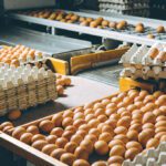 Food security is among the more significant challenges the world will face as the population increases. Photo submitted