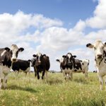 The challenges posed by climate change are not going away. Farmers can take various steps to overcome those challenges. Photo submitted