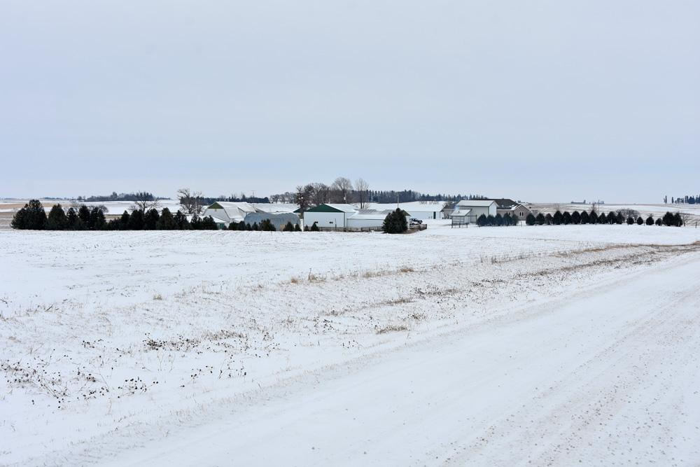The Dutch Square farm. The original barn is located left of center. Photo by Charlene Corson Selbee