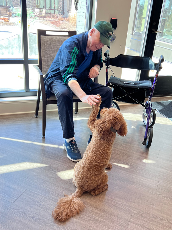 Resident Gene K. gets a high five from the Charlie, the Preston Veterans Home’s facility dog. Photo by Janette Dragvold