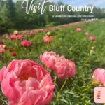Pick up a copy of this year’s Visit Bluff Country visitor’s guide at area businesses and start making plans. Cover photo by Dana Boler