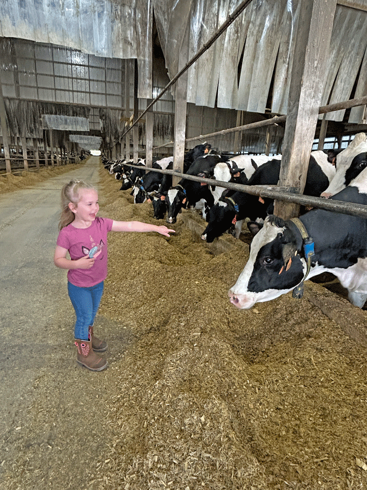 Payson Simonson of Chatfield checks out her favorite cows. Photo by Wanda Hanson