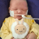 Dixie Rudlong obituary, Fillmore County JOurnal