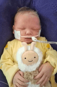 Dixie Rudlong obituary, Fillmore County JOurnal