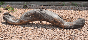 A wooden yoke for oxen, sitting upside down at the Houston County Historical Society. Photo by Lee Epps